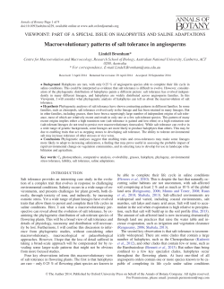 Macroevolutionary patterns of salt tolerance in