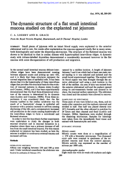 The dynamic structure of a flat small intestinal mucosa studied