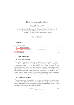 Root system architecture