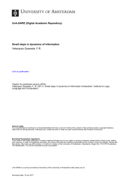 Small steps in dynamics of information Velazquez - UvA-DARE