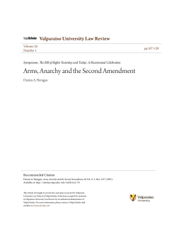 Arms, Anarchy and the Second Amendment