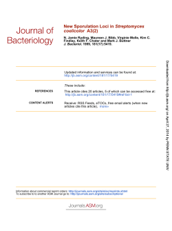 A3(2) coelicolor Streptomyces New Sporulation Loci in