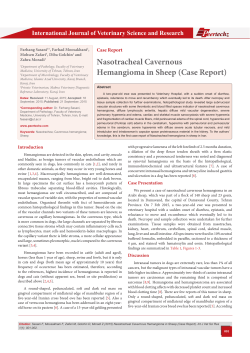 Nasotracheal Cavernous Hemangioma in Sheep (Case