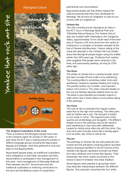 Yankee Hat rock art site Guide