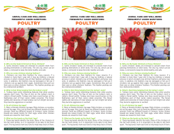 Animal care and well-being frequently asked