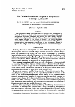 The Cellular Location of Antigens in Streptococci