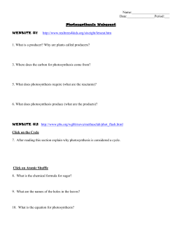 photosynthesis- web quest