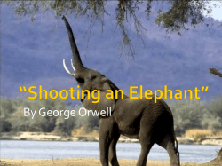 Shooting an Elephant - St. Aloysius School