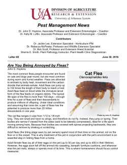 Pest Management Newsletter #2 2016
