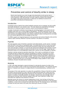 RSPCA Research Report Aug 2011