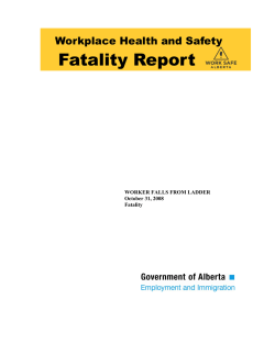 2008 Fatality Report - Worker Falls From Ladder