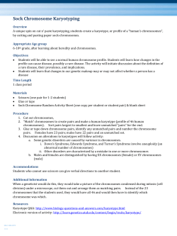 Sock Chromosome Karyotyping
