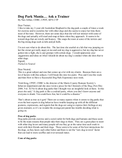 Dog Park Mania&hellip; Ask a Trainer