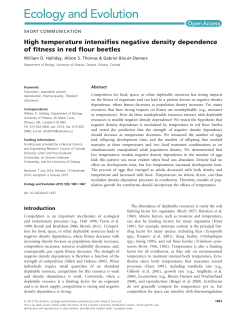 High temperature intensifies negative density dependence of fitness