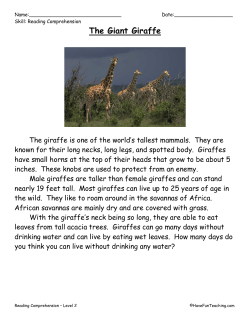 The Giant Giraffe