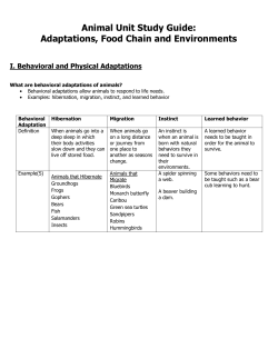 Animal Unit Study Guide: Adaptations, Food Chain and Environments