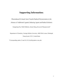 Supporting Information: