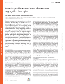 Meiotic spindle assembly and chromosome segregation in oocytes