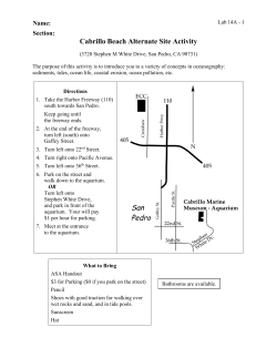 Top of the Cliff - El Camino College