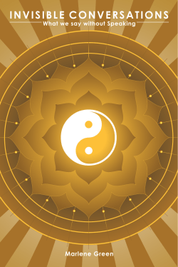 InvIsIble ConversatIons