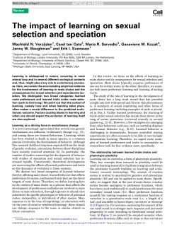 The impact of learning on sexual selection and speciation