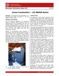 Grass Combustion &ndash; LEI BB500 Boiler