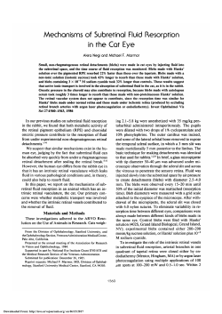 Mechanisms of subretinal fluid resorption in the cat eye.