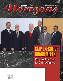 gmp executive board meets