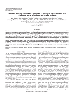 Selection of entomopathogenic nematodes for enhanced