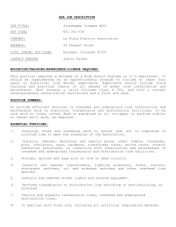 ada job description - La Plata Electric Association