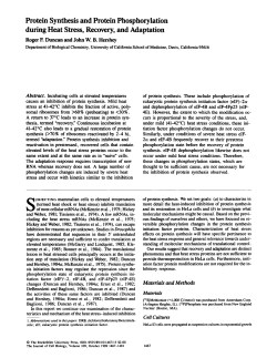 Protein Synthesis and Protein Phosphorylation