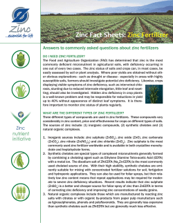 Zinc Fertilizer - Zinc.org India