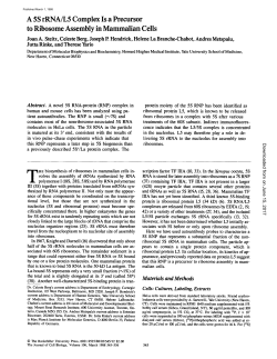 A 5S rRNA/L5 Complex Is a Precursor to Ribosome Assembly in