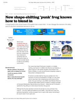 New shape-shifting `punk` frog knows how to blend in