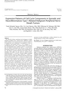 Expression Patterns of Cell Cycle Components in Sporadic and