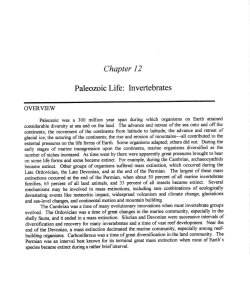 Chapter 12