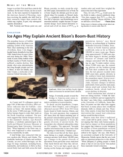 Ice Ages May Explain Ancient Bison`s Boom