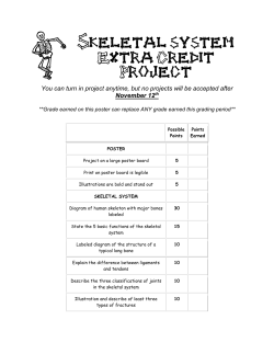 Skeletal system Extra Credit Project