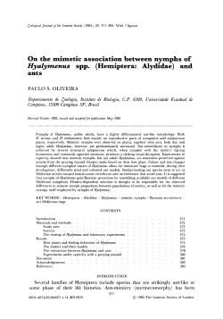 On the mimetic association between nymphs of Hyalymenus spp