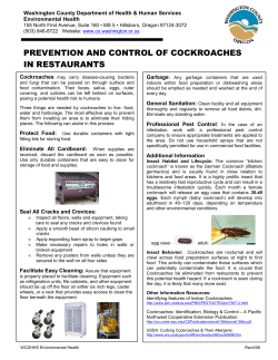 prevention and control of cockroaches in restaurants