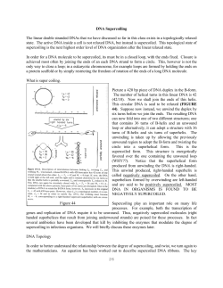 Nucleic Acids Lecture Notes_rev1