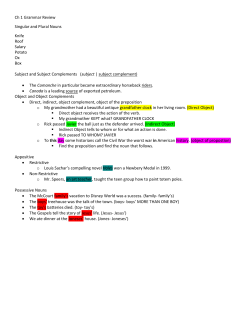 Ch 1 Grammar Review Singular and Plural Nouns Knife Roof Salary