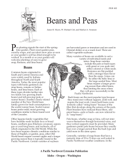 Beans and Peas - University of Idaho