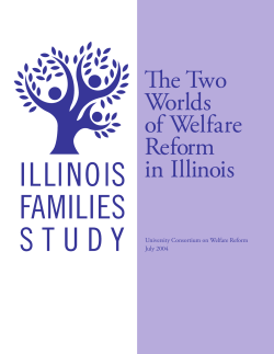 Summary Report - Institute for Policy Research