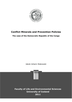 Conflict Minerals and Prevention Policies