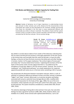 Fish Brains and Behaviour Indicate Capacity for Feeling Pain