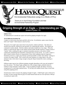 Gripping Strength of an Eagle &mdash; Understanding psi 101