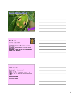 Objective: Draw out the life cycles of mosses and ferns. Moss Life
