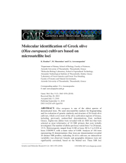 Molecular identification of Greek olive (Olea europaea