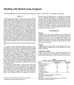 Mashing with Malted Grain Sorghum